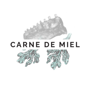 Carne de Miel